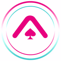 aceworkingholidays.com