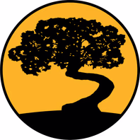 adventurevehicleoutfitters.com