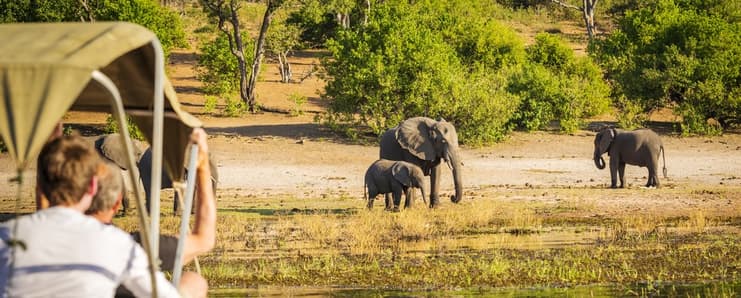 africanbudgetsafaris.com