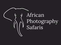 africanphotographysafaris.com