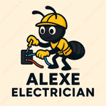 alexeelectricalservices.com