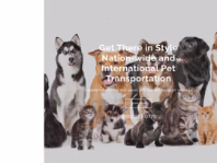 alphateamanimaltransport.org