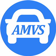 amvsonline.com