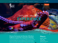 aquariumofthebay.org