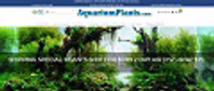 aquariumplants.com
