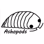 ashopods.com