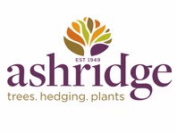 ashridgetrees.co.uk