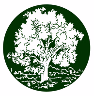 avenidasfuneralchapel.com