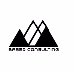 basedconsulting.co