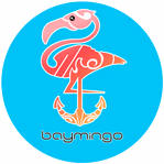 baymingoboatrental.com