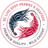 bclivespotprawns.com