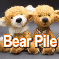 bearpile.com