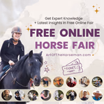 becauseofthehorse.net