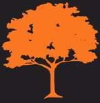 beechwoodtree-services.co.uk