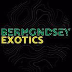 bermondseyexotics.com