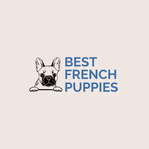 bestfrenchpuppies.com
