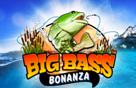 bigbassbonanzanotongamestop.games