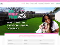 bigbullyturf.com