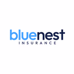 bluenestinsurance.ae