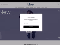 bluer.co.in
