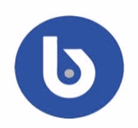 bluestonefundinggroup.com