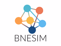 bnesim.com