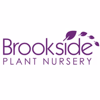 brooksidenursery.co.uk