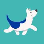 brucesdoggydaycare.co.uk