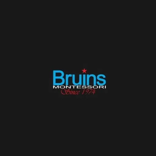 Bruins Montessori USA Inc
