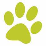 budgetpetproducts.com.au