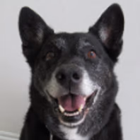 buyfirealarmparts.com