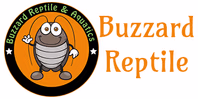buzzardreptile.co.uk
