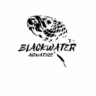 bwaquatics.com