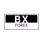 bxforex.com