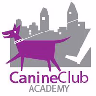 canineclubacademy.com