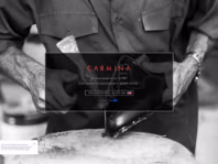 carminashoemaker.com