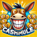 cashmulecomps.com