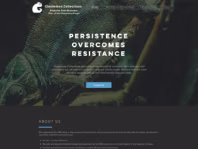 chameleoncollections.co.uk