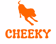 cheekydogtoys.com