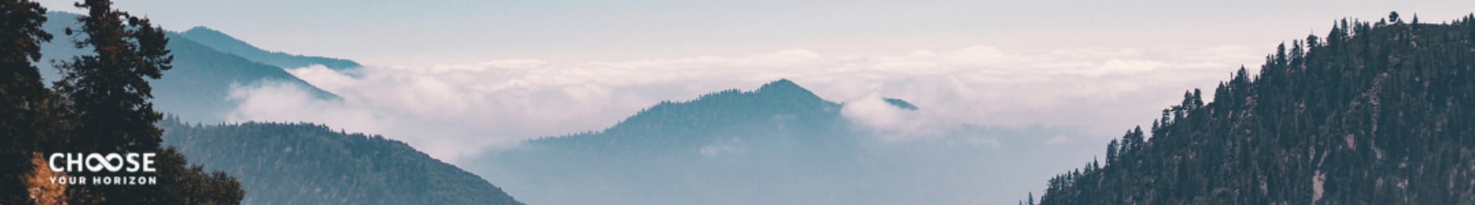 chooseyourhorizon.com