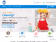 cleangeniuslondon.co.uk