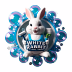 cleaningcharlotteus.com