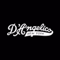 dangelicoguitars.com