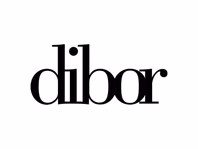 dibor.co.uk