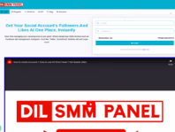dilsmmpanel.com