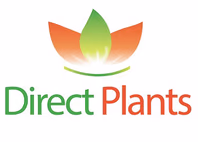 directplants.co.uk