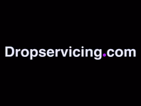 dropservicingblueprint.com