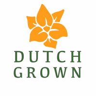 dutchgrown.com