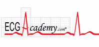 ecgacademy.com