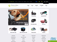 electric-collars.com